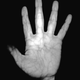 Illustration for article titled How Your Body's Unique Biosignatures Are Used for Surveillance
